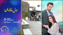 Bayhadh - Episode 40 - 11th September 2024